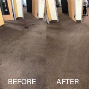 Carpet Cleaning Services